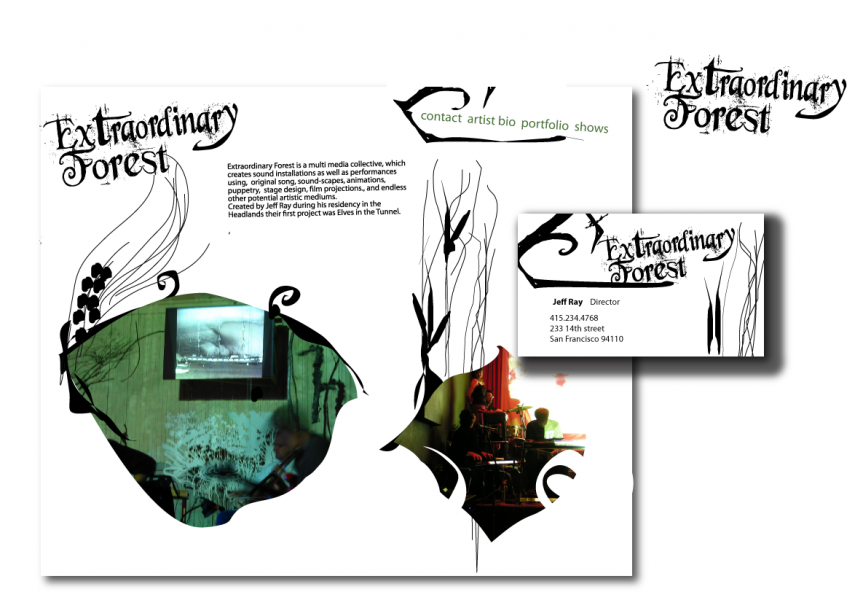 Extraordinary Forest